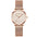 Rose B – | RoyElite