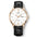 Automatic Dress Watch | Timeless Sapphire Elegance by CARNIVAL - RoyElite